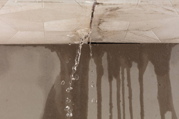 Professional Flood Damage Cleanup technician working in Rosebush, MI